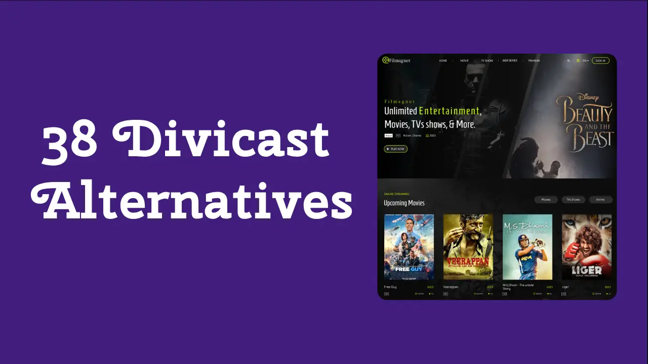 38 Secret Divicast Alternatives
